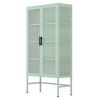 Double Glass Door Storage Cabinet with Adjustable Shelves and Feet Cold-Rolled Steel Sideboard Furniture for Living Room Kitchen Mint green